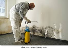 Ethete, WY Mold Prevention & Removal  Company